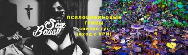 гашик Арсеньев