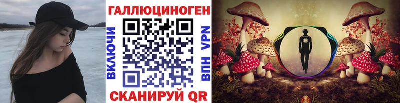 хочу   Новосокольники  блэк спрут онион  Псилоцибиновые грибы Psilocybine cubensis 