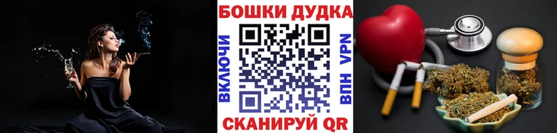 Канабис планчик KRAKEN онион Новосокольники где продают наркотики